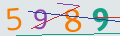 verifycode